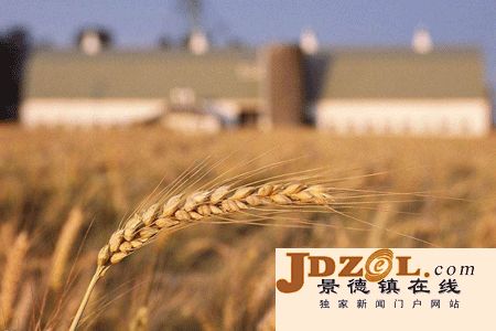 【理上網(wǎng)來(lái) 輝煌十九大】實(shí)現小農戶(hù)和現代農業(yè)發(fā)展有機銜接